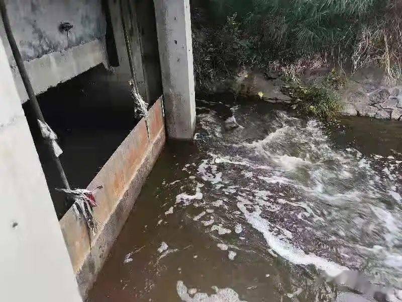 生物毒性檢測儀可以檢測什么 生物毒性檢測儀可以檢測什么