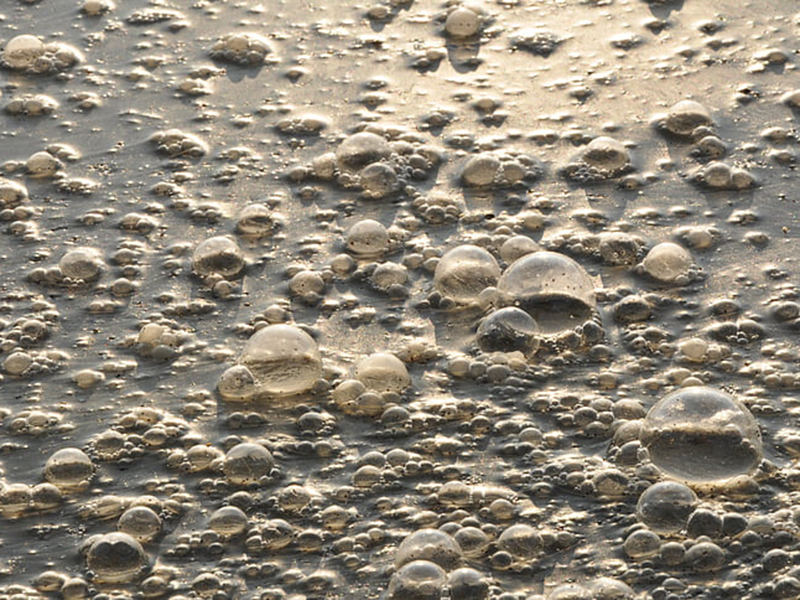 在線COD檢測(cè)儀可滿足各行各業(yè)的監(jiān)測(cè)需求