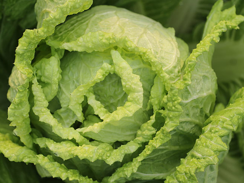 怎樣可以檢測小白菜中農藥殘留是否超標？