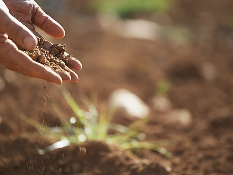 如何檢測土壤重金屬是否超標？