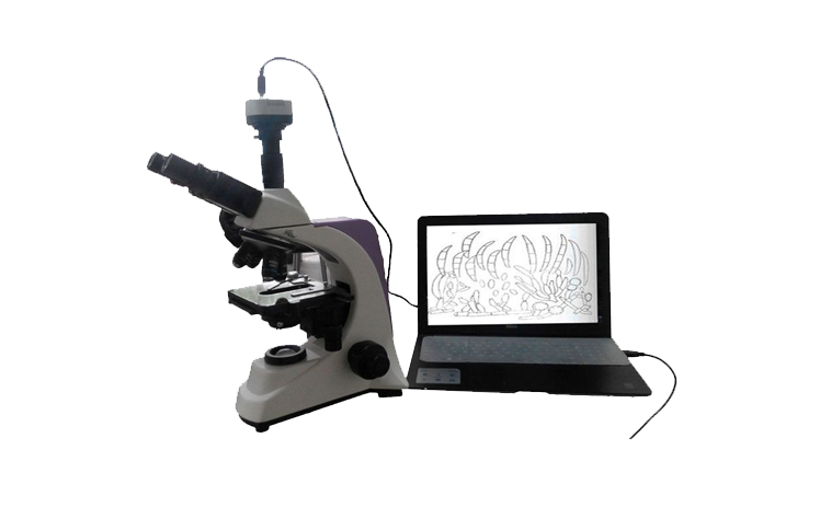 植物病蟲害檢測設備