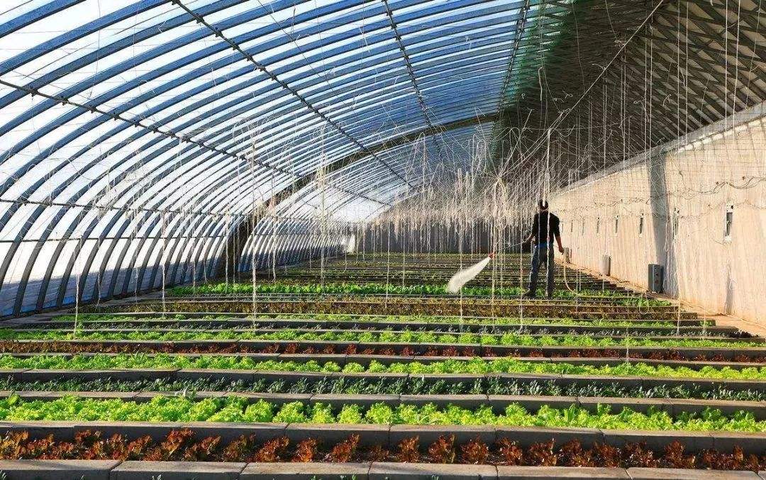 溫室土壤測(cè)試儀 溫室土壤測(cè)試儀