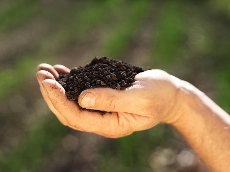 土壤要素檢測儀