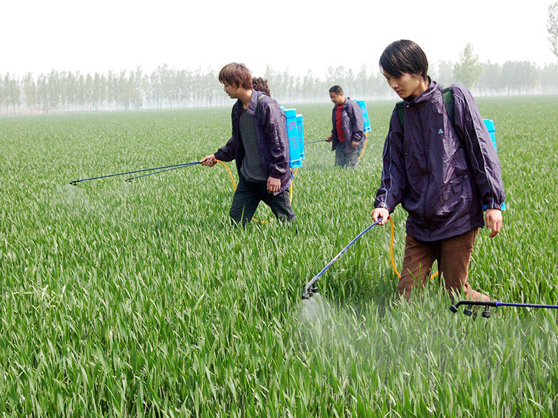 如何判斷食物中是否有農藥殘留 11.jpg