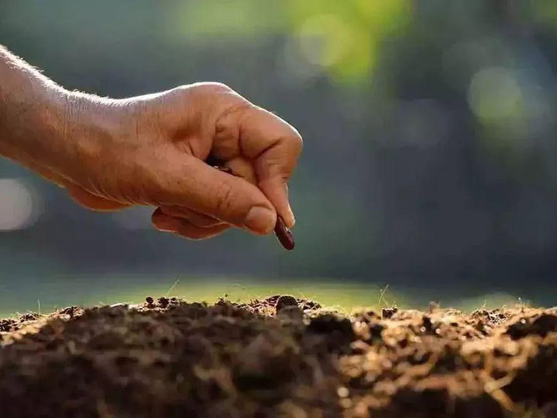 土壤有機(jī)質(zhì)含量的檢測(cè) 10.jpg