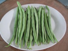 農(nóng)藥殘留檢測儀，檢測四季豆農(nóng)藥殘留含量