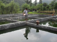 水中硫化氫檢測(cè)儀，可以為水產(chǎn)養(yǎng)殖做什么？