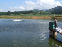 水產養殖檢測儀，為水產提供優良的生長環境